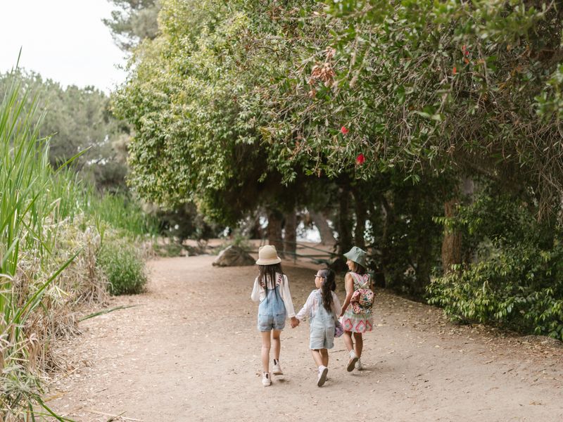 Illustration : sortie nature pour jeunes enfants
