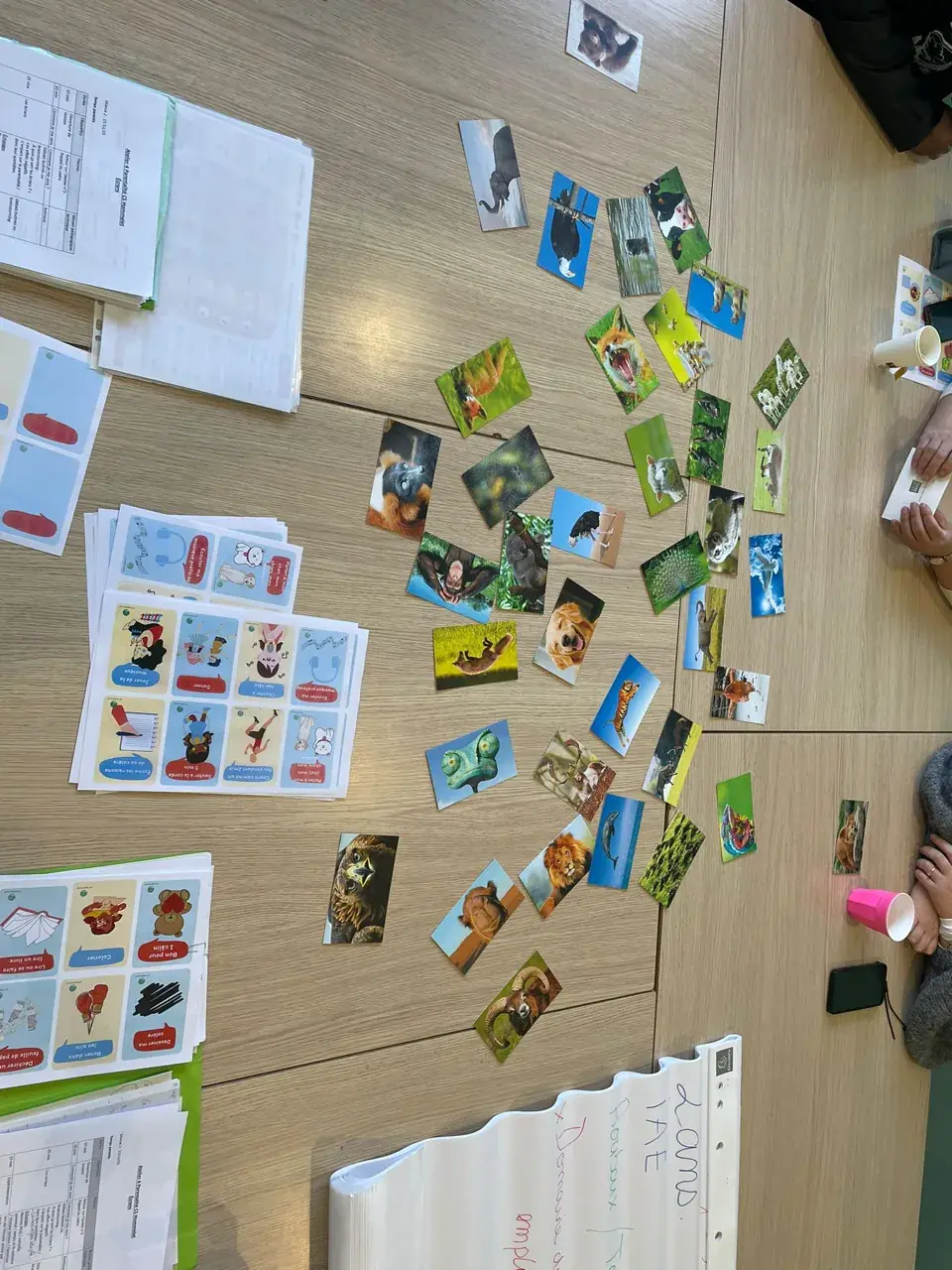 Cartes photos d’animaux et cartes d’idées pour apaiser sa colère, étalées sur la table d’un atelier parentalité